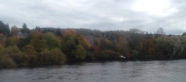 Riverbank trees and Church